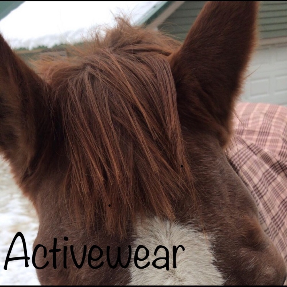 Activewear